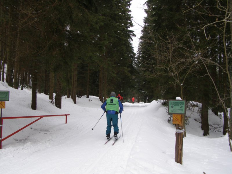 p1120030.jpg