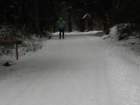 p2010267_small.jpg