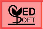 Logo MEDSOFT